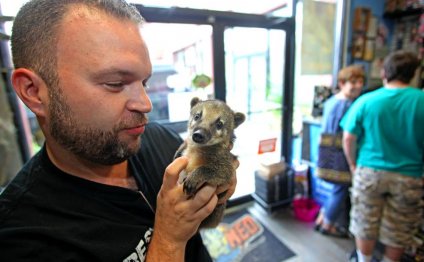 Exotic pets are Lodi shop s