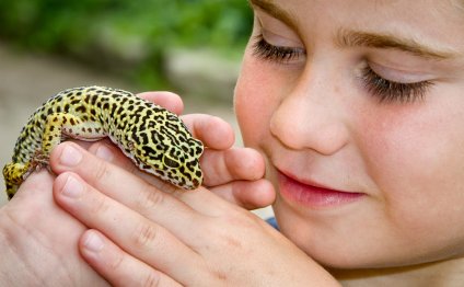 When children handle such pets