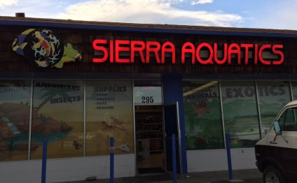 Sierra Aquatics - 11 Photos