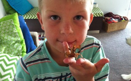 Make great pets for kids