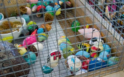 Buy live animals online