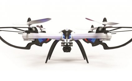 Tarantulas for sale online