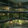 Best terrarium pets