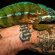 Exotic Reptiles for sale