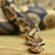 Good pet Snake for Beginners
