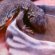 Green Lizards for sale