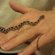 Pets corn snakes for sale