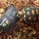Tortoises Shop