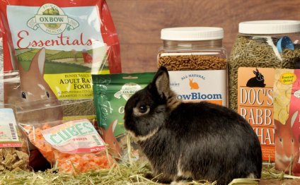 Reptile stores San Diego