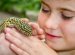 Best Reptiles pets for kids