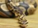Good pet Snake for Beginners