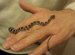 Pets corn snakes for sale