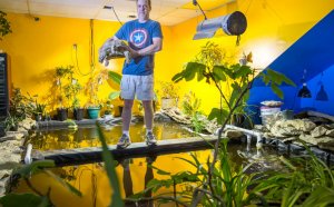 Amphibian Pet stores