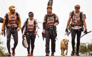 Find Pet stores in my area