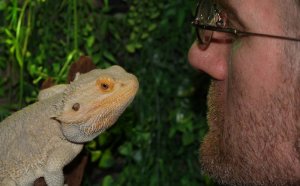 Reptile Store in Toronto