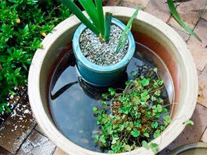 Remove standing water