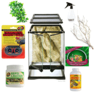 Show image?post=10578&type=listing