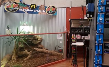 Reptile business for sale