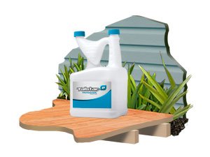 Spray the foundation