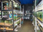 Exotic Pet Supplies