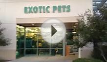 A Tour of Exotic Pets (Pet Store) in Las Vegas, NV