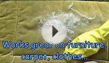 AMAZING! The Absolute Best Way to Remove Pet Hair
