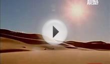 Dancing lizard on desert funny - Must watch