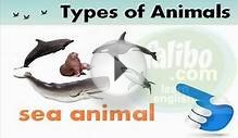 English Vocabulary : Types of Animals