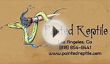 Fire Skink For Sale