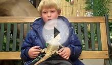 kids on bearded dragons