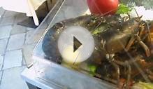 Live Lobster for sale on ice in Venice Italy