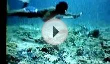 People hunting the poisonous snake under ocean and collect