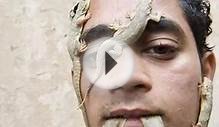 The Magical World of Lizards .GOODNEWS.WS