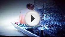 Toxic Texas turtles for sale 2.wmv