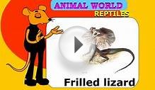 Types of Reptiles || Kids Learning Videos